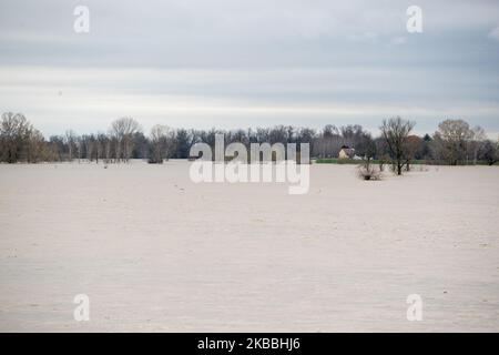 Après des jours de fortes pluies dans le Piémont, plusieurs inondations se sont produites dans les pays voisins d'Alessandria, Piémont, Italie, le 24 novembre 2019. (Photo de Mauro Ujetto/NurPhoto) Banque D'Images