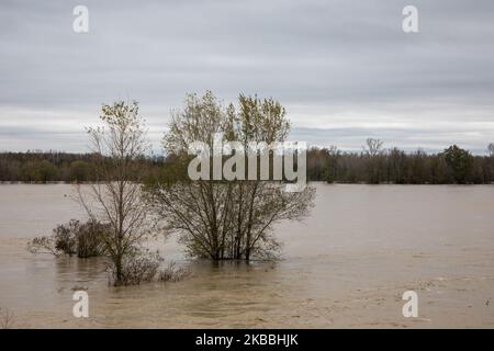 Après des jours de fortes pluies dans le Piémont, plusieurs inondations se sont produites dans les pays voisins d'Alessandria, Piémont, Italie, le 24 novembre 2019. (Photo de Mauro Ujetto/NurPhoto) Banque D'Images