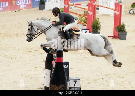 Une participante à son cheval pendant la semaine du cheval de Madrid CSI5 à Ifema Madrid 29 novembre 2019 Espagne. Un événement de 3 jours de concours, spectacles et expositions. (Photo par Oscar Gonzalez/NurPhoto) Banque D'Images