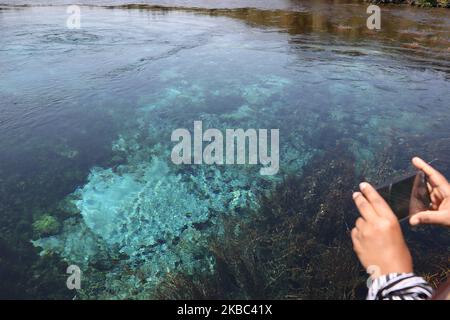 Un visiteur prend des photos de te WaikoropupÅ« SpringsÂ à Takaka dans la baie de Golden, île du Sud, Nouvelle-Zélande sur 03 décembre 2019. Te WaikoropupÅ« les sources d'eau douce les plus claires du monde et c'est les plus grandes sources d'eau douce de Nouvelle-Zélande. (Photo de Sanka Vidanagama/NurPhoto) Banque D'Images