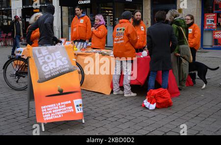 Samedi 14 décembre 2019, les activistes de l'association pour le bien-être des animaux L214 ont mené une action sur le marché de Noël à Nantes (France) pour dénoncer les conditions de reproduction des canards destinés à la production de foie gras. (Photo par Estelle Ruiz/NurPhoto) Banque D'Images