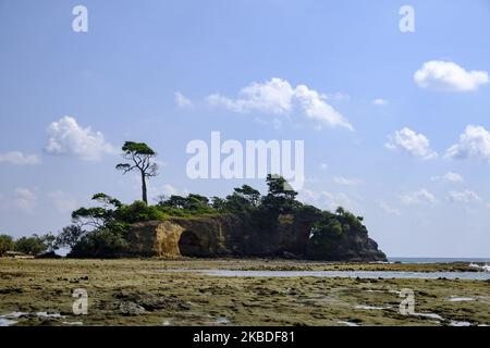 Formations de corail mortes à la plage de Laxmanpur 2 sur l'île Neil d'Andaman, 9 décembre 2019. Pendant le tsunami, ces coraux entiers sont venus en dehors du niveau de l'eau de mer et, en raison de ressources en eau insuffisantes, sont devenus morts. (Photo de Dipayan Bose/NurPhoto) Banque D'Images