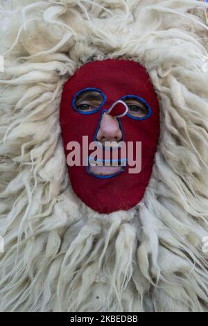Portrait d'un “Sidro” avec son masque avec lequel il participe à la mascarade d'hiver de Valdesoto (Asturies), sur 12 janvier 2020 , (photo de Joaquin Gomez Sastre/NurPhoto) Banque D'Images