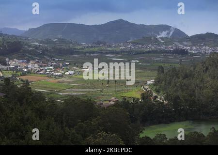 Une vue sur la Telaga Warna, une attraction touristique populaire dans la région du plateau de Dieng, Régence de Wonosobo, Java central, sur 13 janvier 2020. Ce lac a un phénomène naturel unique qui se produit à cet endroit, la couleur de l'eau du lac qui change souvent , parfois ce lac est vert et jaune ou coloré comme un arc-en-ciel. Ce phénomène se produit parce que l'eau du lac contient du soufre qui est assez élevé. (Photo par Adriana Adie/NurPhoto) Banque D'Images