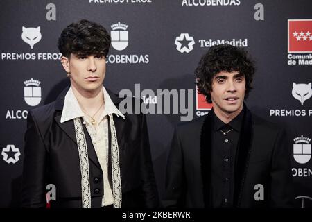 Javier Calvo et Javier Ambrossi participent aux Feroz Awards 2020 au Teatro Auditorio Ciudad de Alcobendas on 16 janvier 2020 à Madrid, Espagne. (Photo de A. Ware/NurPhoto) Banque D'Images