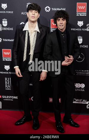 Javier Calvo et Javier Ambrossi participent aux Feroz Awards 2020 au Teatro Auditorio Ciudad de Alcobendas on 16 janvier 2020 à Madrid, Espagne. (Photo de A. Ware/NurPhoto) Banque D'Images