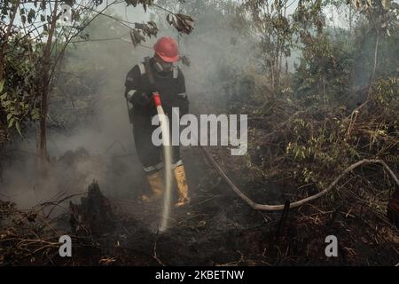 Manggala Agni, service des incendies de forêt Ministère indonésien de la foresterie et de l'environnement essayez d'éteindre le feu de terre tourbée dans le village d'Air Hitam à Riau, en Indonésie, sur 18 janvier 2020. (Photo par Afrianto Silahi/NurPhoto) Banque D'Images