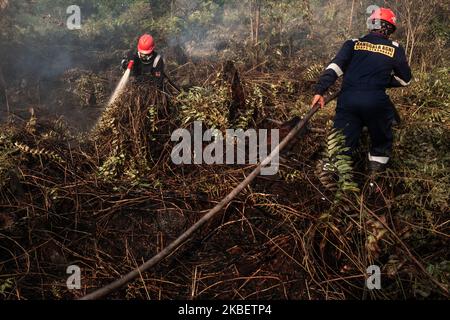 Manggala Agni, service des incendies de forêt Ministère indonésien de la foresterie et de l'environnement essayez d'éteindre le feu de terre tourbée dans le village d'Air Hitam à Riau, en Indonésie, sur 18 janvier 2020. (Photo par Afrianto Silahi/NurPhoto) Banque D'Images