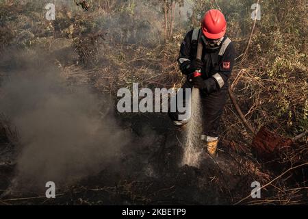 Manggala Agni, service des incendies de forêt Ministère indonésien de la foresterie et de l'environnement essayez d'éteindre le feu de terre tourbée dans le village d'Air Hitam à Riau, en Indonésie, sur 18 janvier 2020. (Photo par Afrianto Silahi/NurPhoto) Banque D'Images