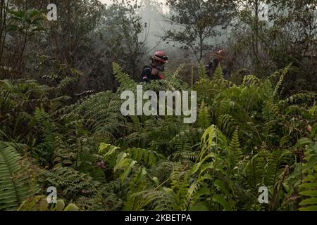 Manggala Agni, service des incendies de forêt Ministère indonésien de la foresterie et de l'environnement essayez d'éteindre le feu de terre tourbée dans le village d'Air Hitam à Riau, en Indonésie, sur 18 janvier 2020. (Photo par Afrianto Silahi/NurPhoto) Banque D'Images