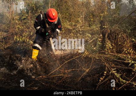 Manggala Agni, service des incendies de forêt Ministère indonésien de la foresterie et de l'environnement essayez d'éteindre le feu de terre tourbée dans le village d'Air Hitam à Riau, en Indonésie, sur 18 janvier 2020. (Photo par Afrianto Silahi/NurPhoto) Banque D'Images