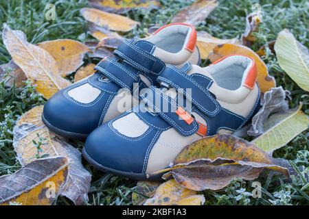 Une paire de sneakers repose sur des feuilles jaunes et sur le gel de l'herbe Banque D'Images