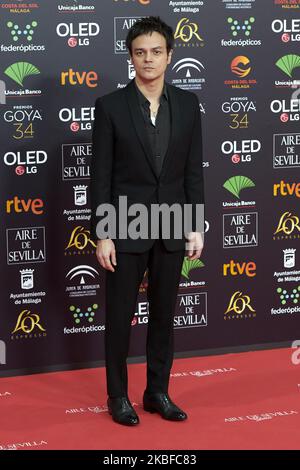 Jamie Cullum participe au salon photo tapis rouge 34th « Goya » Cinema Awards 2020 au Jose Maria Martin Carpena Sports Palace de Malaga, Espagne, le 25 janvier 2020 (photo de Carlos Dafonte/NurPhoto) Banque D'Images