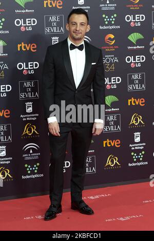 Alejandro Amenabar participe au film photo tapis rouge 34th « Goya » Cinema Awards 2020 au Jose Maria Martin Carpena Sports Palace de Malaga, Espagne, le 25 janvier 2020 (photo de Carlos Dafonte/NurPhoto) Banque D'Images