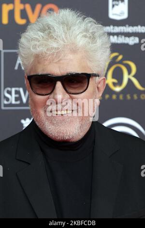 Pedro Almodovar assiste au film "Goya" Cinema Awards 34th 2020 Red Carpet Photocall au Jose Maria Martin Carpena Sports Palace à Malaga, Espagne, le 25 janvier 2020 (photo de Carlos Dafonte/NurPhoto) Banque D'Images