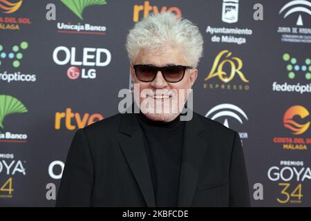 Pedro Almodovar assiste au film "Goya" Cinema Awards 34th 2020 Red Carpet Photocall au Jose Maria Martin Carpena Sports Palace à Malaga, Espagne, le 25 janvier 2020 (photo de Carlos Dafonte/NurPhoto) Banque D'Images