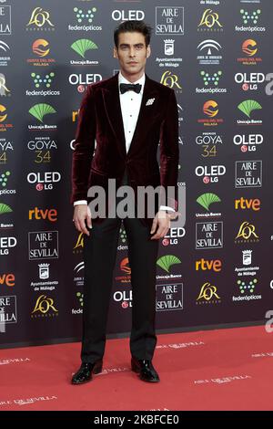 Jon Kortajarena participe au salon photo tapis rouge 34th « Goya » Cinema Awards 2020 au Jose Maria Martin Carpena Sports Palace de Malaga, Espagne, le 25 janvier 2020 (photo de Carlos Dafonte/NurPhoto) Banque D'Images