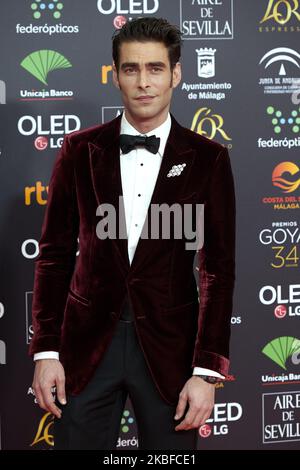 Jon Kortajarena participe au salon photo tapis rouge 34th « Goya » Cinema Awards 2020 au Jose Maria Martin Carpena Sports Palace de Malaga, Espagne, le 25 janvier 2020 (photo de Carlos Dafonte/NurPhoto) Banque D'Images