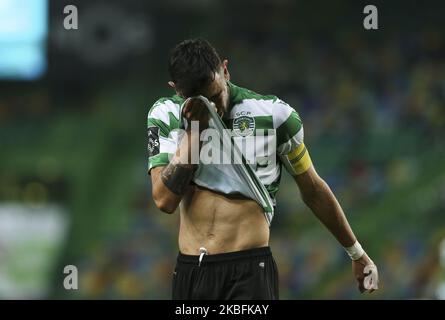 Milieu de terrain du CP sportif Bruno Fernandes lors du match de la Premier League 2019/20 entre le CP sportif et le CS Maritimo, au stade Alvalade de Lisbonne sur 27 janvier 2019. (Photo de Paulo Nascimento/NurPhoto) Banque D'Images