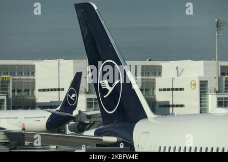 Queues d'avion avec la nouvelle livrée Lufthansa et le logo sur le stabilisateur vertical, l'avion gauche est un Airbus A340 avec 4 moteurs. Début de matinée, circulation des avions Lufthansa dont le logo est visible sur le tarmac et ancré via un pont à jet ou un pont aérien au terminal de l'aéroport international MUC EDDM de Munich en Bavière, Allemagne, Flughafen München en allemand. Deutsche Lufthansa DLH LH est le transporteur aérien et la plus grande compagnie aérienne d'Allemagne utilisant Munich comme l'un de leurs deux concentrateurs. Lufthansa est membre de l'alliance aérienne de Star Alliance. 26 janvier 2020 (photo de Nicolas Economou/nu Banque D'Images