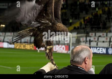 Eagle Attila, mascotte d'Eintracht Frankfurt avant le troisième tour de la coupe DFB entre Eintracht Frankfurt et RB Leipzig à la Commerzbank-Arena sur 04 février 2020 à Francfort-sur-le-main, Allemagne. (Photo de Peter Niedung/NurPhoto) Banque D'Images