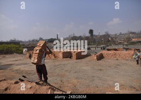 Un ouvrier indien migrant transportant des briques dans une usine de briques à Bhaktapur, Népal jeudi, 06 février 2020. (Photo de Narayan Maharajan/NurPhoto) Banque D'Images