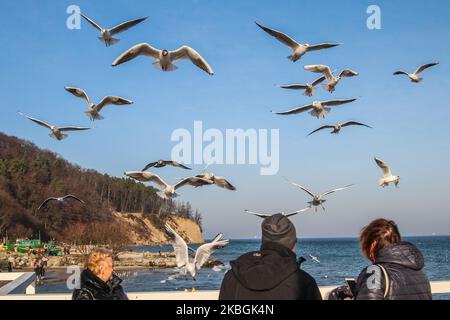 Des personnes bénéficiant d'un temps chaud et ensoleillé inhabituel marchant sur la côte de la mer Baltique à Gdynia Orlobo sont vues à Gdynia, Pologne le 9 février 2020 des goélands de mer se battant avec un vent fort sont vus (photo par Michal Fludra/NurPhoto) Banque D'Images