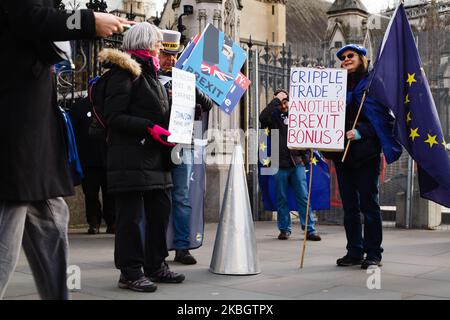 Les militants anti-Brexit manifestent devant le Parlement à Londres, en Angleterre, sur 12 février 2020. (Photo de David Cliff/NurPhoto) Banque D'Images