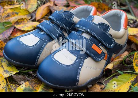 Sneakers en cuir d'automne classiques et tendance sur les feuilles de l'automne Banque D'Images