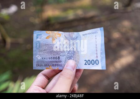 Semarang, Indonésie - 4 novembre 2022 : une main a un nouveau design de 2 000 Rupiah Money. Banque D'Images