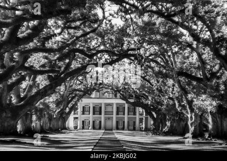 PLANTATION D'ALLÉES DE CHÊNE (1837) VACHERIE LOUISIANE ÉTATS-UNIS Banque D'Images