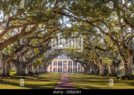 PLANTATION D'ALLÉES DE CHÊNE (1837) VACHERIE LOUISIANE ÉTATS-UNIS Banque D'Images