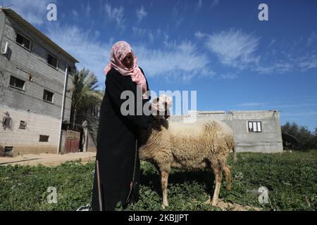 Le palestinien Sohayla al-Najjar s'occupe des moutons à l'extérieur de sa maison, à Khan Yunis, dans le sud de la bande de Gaza, sur 5 mars 2020. (Photo de Majdi Fathi/NurPhoto) Banque D'Images