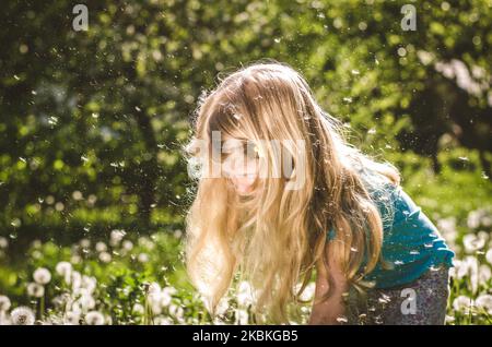 belle fille avec de longs cheveux blonds dans la prairie de pissenlit blanc Banque D'Images