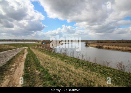 Des arbres et des buissons dans l'estuaire de la rivière Nogat jusqu'à la Vistule (Wisla) sont vus à Biala Gore, en Pologne le 4 avril 2020 plus de 1500 castors qui sont soumis à une protection stricte des espèces, est condamné à mort, par le gouvernement polonais. Le gouvernement dit que les castors détruisent les terres agricoles en construisant des pavillons et qu'ils ont dû être tués. (Photo de Michal Fludra/NurPhoto) Banque D'Images