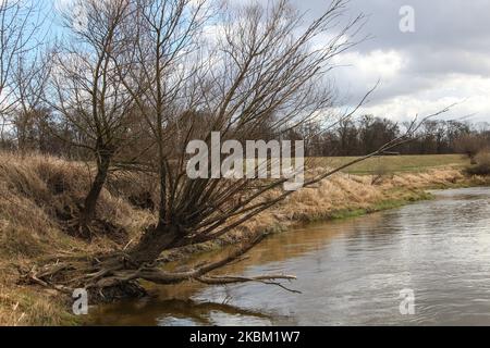 Vistule (Wisla) près de l'historique, construit en 1852 inondation damn est vu à Biala Gora, Pologne le 4 avril 2020 le damn a été construit après le changement de cours de la rivière Nogat, et l'endroit où la rivière Nogat coule dans la Vistule (Wisla). (Photo de Michal Fludra/NurPhoto) Banque D'Images