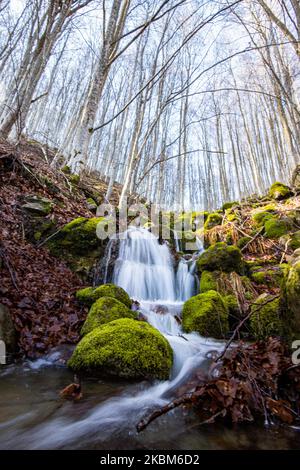 Petite chute d'eau d'un ruisseau menant à la crique dans l'épaisse forêt près de la forêt de Frakto dans la chaîne de montagnes de Rhodope ou Rodopi et le parc national en Grèce. La chaîne de montagnes située dans le sud-est de l'Europe est connue pour le riche environnement naturel et le patrimoine culturel de la Thrace antique. Aujourd'hui, la montagne est considérée comme un paradis biologique pour la faune et la flore. 31 mars 2020 (photo de Nicolas Economou/NurPhoto) Banque D'Images