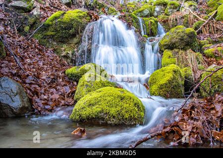 Petite chute d'eau d'un ruisseau menant à la crique dans l'épaisse forêt près de la forêt de Frakto dans la chaîne de montagnes de Rhodope ou Rodopi et le parc national en Grèce. La chaîne de montagnes située dans le sud-est de l'Europe est connue pour le riche environnement naturel et le patrimoine culturel de la Thrace antique. Aujourd'hui, la montagne est considérée comme un paradis biologique pour la faune et la flore. 31 mars 2020 (photo de Nicolas Economou/NurPhoto) Banque D'Images