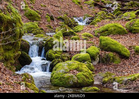 Petite chute d'eau d'un ruisseau menant à la crique dans l'épaisse forêt près de la forêt de Frakto dans la chaîne de montagnes de Rhodope ou Rodopi et le parc national en Grèce. La chaîne de montagnes située dans le sud-est de l'Europe est connue pour le riche environnement naturel et le patrimoine culturel de la Thrace antique. Aujourd'hui, la montagne est considérée comme un paradis biologique pour la faune et la flore. 31 mars 2020 (photo de Nicolas Economou/NurPhoto) Banque D'Images