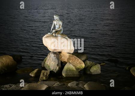 Vue nocturne de la célèbre sculpture en bronze la petite statue de la Sirène à Copenhague, Danemark sur 7 février 2020. (Photo de Maxym Marusenko/NurPhoto) Banque D'Images