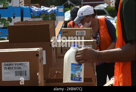 Des bénévoles de la Société islamique du centre de la Floride distribuent de la nourriture de la deuxième Harvest Food Bank du centre de la Floride aux familles dans le besoin lors d'un événement au drive-in sur 9 avril 2020 à Orlando, en Floride. La banque alimentaire a connu une demande record d'aide dans la région d'Orlando en raison des pertes d'emplois causées par la pandémie du coronavirus. (Photo de Paul Hennessy/NurPhoto) Banque D'Images