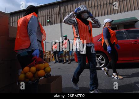 Des bénévoles de la Société islamique du centre de la Floride distribuent de la nourriture de la deuxième Harvest Food Bank du centre de la Floride aux familles dans le besoin lors d'un événement au drive-in sur 9 avril 2020 à Orlando, en Floride. La banque alimentaire a connu une demande record d'aide dans la région d'Orlando en raison des pertes d'emplois causées par la pandémie du coronavirus. (Photo de Paul Hennessy/NurPhoto) Banque D'Images