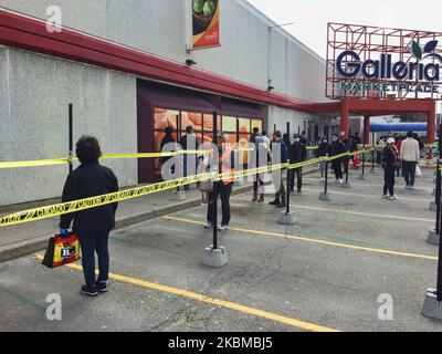 Longue ligne comme personnes pratiquant la distanciation sociale (distanciation physique) en attendant d'entrer dans un supermarché à Toronto, Ontario, Canada sur 12 avril 2020. Les magasins laissent entrer un nombre limité de personnes à la fois pour assurer la distanciation sociale (distanciation physique) afin de ralentir la propagation du nouveau coronavirus (COVID-19). (Photo de Creative Touch Imaging Ltd./NurPhoto) Banque D'Images