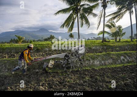 Un agriculteur plère son champ à l'aide d'un tracteur à main pour préparer le riz à la plantation dans le village de Porame, dans la régence de Sigi, dans la province centrale de Sulawesi, en Indonésie, sur 18 avril 2020. Le gouvernement de régence de Sigi ordonne à 176 villages de sa région de fournir deux tonnes de riz par village en tant que réserves alimentaires face à la pandémie de COVID- 19 pendant ce temps, le gouvernement indonésien, par l'intermédiaire du Ministère de l'agriculture, recentre et réaffecte les budgets pour soutenir les filets de sécurité alimentaire et assurer disponibilité alimentaire pour 260 millions de résidents. (Photo de Basri Marzuki/NurPhoto) Banque D'Images