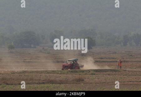 Un tracteur pline le champ de paddy avant de semer des céréales après que le gouvernement de l'État ait retiré l'interdiction de verrouillage des travaux agricoles entre les journées de confinement dans la ville de Bhubaneswar, capitale de l'État indien de l'est, à 19 avril 2020. (Photo par STR/NurPhoto) Banque D'Images