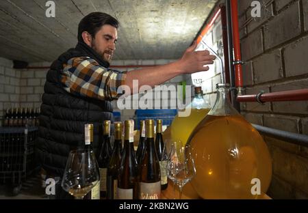 Marcin du vignoble Amonit, vu vérifier son nouveau vin à l'intérieur d'une cave à vin. Le vignoble familial couvre 0,5 hectares et se spécialise dans trois variétés de raisins : Johannître et Solaris (vins blancs) et Regent (vins rouges). Depuis l'assouplissement des restrictions du coronavirus en Pologne, quiconque travaille sur le terrain n'a pas besoin de porter de masques de protection. Beaucoup de gens essaient de rattraper le travail perdu pendant le verrouillage. Mercredi, 29 avril 2020, à Cianowice près de Skala, comté de Cracovie, Pologne. (Photo par Artur Widak/NurPhoto) Banque D'Images