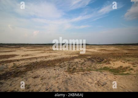 La zone du désert de Bledow (Pustynia Bledowska) est vue près de Klucze, Pologne , le 30 avril 2020 Bledowska Sands est la plus grande accumulation de sable en vrac en Europe centrale dans une zone éloignée de toute mer, occupe une zone de 32 km2 . Le désert de Bledow a été créé à la suite de l'activité humaine qui a abaissé la nappe phréatique à un degré tel que le sol ne pouvait plus soutenir la vie végétale. (Photo de Michal Fludra/NurPhoto) Banque D'Images