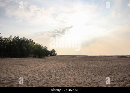 La zone du désert de Bledow (Pustynia Bledowska) est vue près de Klucze, Pologne , le 30 avril 2020 Bledowska Sands est la plus grande accumulation de sable en vrac en Europe centrale dans une zone éloignée de toute mer, occupe une zone de 32 km2 . Le désert de Bledow a été créé à la suite de l'activité humaine qui a abaissé la nappe phréatique à un degré tel que le sol ne pouvait plus soutenir la vie végétale. (Photo de Michal Fludra/NurPhoto) Banque D'Images