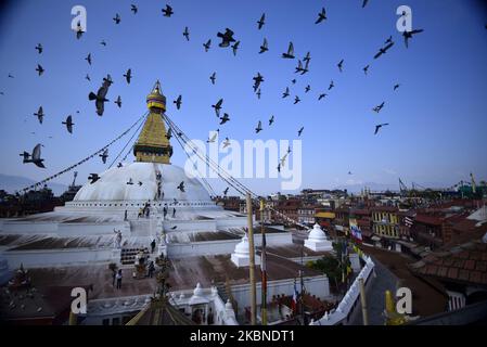 Les pigeons survotent autour de la Boudhanath Stupa, site classé au patrimoine mondial de l'UNESCO lors de la célébration du festival Bouddha Purnima 2 564, anniversaire de naissance du Bouddha Gautam célébré au cours du confinement national comme des préoccupations au sujet de la propagation du virus Corona (COVID-19) à Katmandou, Népal jeudi, 07 mai 2020. Bouddhistes du monde entier, Cambodge; Thaïlande; Myanmar; Bhoutan; Sri Lanka; Laos; Mongolie; Japon; Singapour; Taïwan y compris le Népal, observez le festival Bouddha Purnima qui tombe le même jour de pleine lune du calendrier du mois. (Photo de Narayan Maharajan/NurPhoto) Banque D'Images