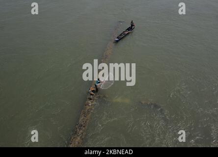 Un groupe d'oiseaux de l'aigrette est vu dans la file d'attente alors qu'ils attendent les prises à l'intérieur de la rivière Mahanadi, en périphérie de l'est de l'état indien, la capitale de l'Odisha, Bhubaneswar, sur 7 mai 2020. (Photo par STR/NurPhoto) Banque D'Images